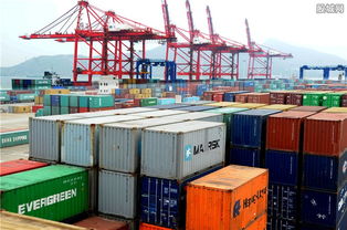 上海海关口岸通关效率与进口增幅双提升，助力外贸高质量发展