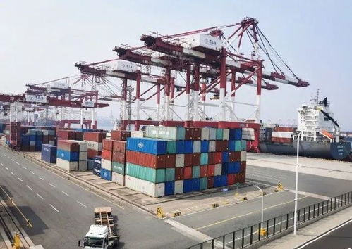 2021.02.26 轻松早茶 自营与代理货物及技术进出口解析